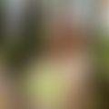 LanaCoxx