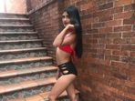 BarbieBrunette