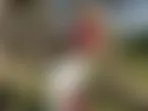Jasi69