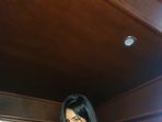 LucyGaia