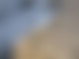 momo2008 LiveCam