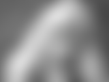 Blondii