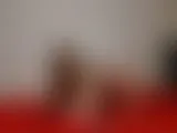 LadyAntonia LiveCam