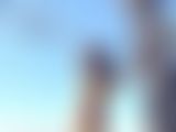 Haylee LiveCam
