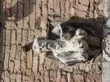 SimonThaur LiveCam