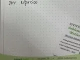 Joyes