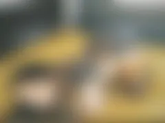 AvivaRocks LiveCam