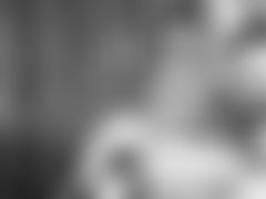 LadyMercedes LiveCam