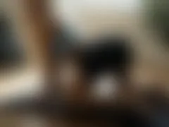 LunaBlond LiveCam