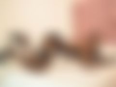 CheseaTaylor LiveCam