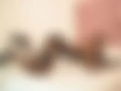 CheseaTaylor LiveCam