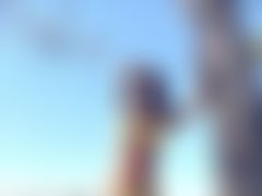 Haylee LiveCam