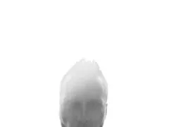 Ibins LiveCam