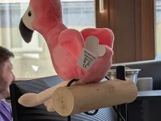 DerTestPeter Profilbild