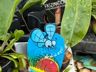 Chiefmotley Profilbild