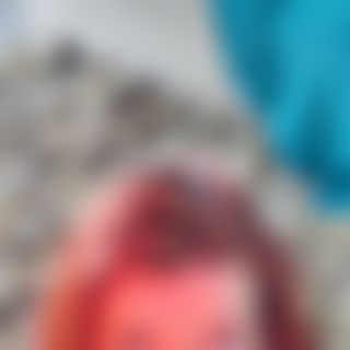 feniixjp