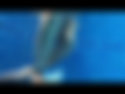 Im Pool scharf geworden, da müssen die Finger halt herhalten