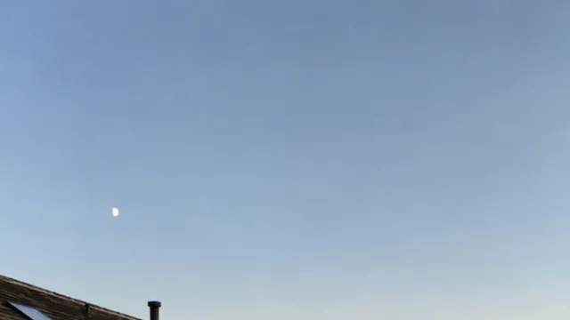 luckyloucho