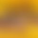TestAlexa