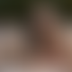 Model Avatar