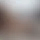 RoseCatarine