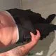 Show webcam en direct – Finch