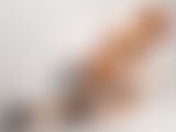 AnnaXBunny LiveCam