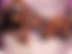 AylaLevine LiveCam